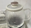 美的（Midea）花漾0膠水全玻璃全自動養(yǎng)生壺 辦公室多功能煮茶壺 燒水壺恒溫電熱水壺煮茶器花茶壺1L YS10B101 曬單實拍圖