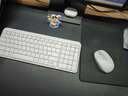 羅技（Logitech）MK251無(wú)線(xiàn)輕音藍牙鍵鼠套裝 K251無(wú)線(xiàn)鍵盤(pán)99鍵 輕松配對 帶數字辦公鍵盤(pán)鼠標套裝 M170/M196鼠標 【K251藍牙鍵盤(pán)】白色-送桌墊+鍵盤(pán)貼紙 曬單實(shí)拍圖