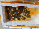 大甲魚苗鮮活小甲魚苗團(tuán)魚苗鱉批發(fā)外塘中華鱉水魚苗包郵包活 2到5克 50只 曬單實(shí)拍圖