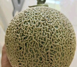 京鮮生蜜蜂授粉牛三蜜瓜網(wǎng)紋瓜 單果2斤起 凈重8-9斤 2-4粒裝源頭直發(fā) 曬單實(shí)拍圖