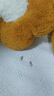 伊燦劉亦菲同款仿珍珠耳環(huán)無(wú)耳洞耳夾小眾設(shè)計(jì)感高級(jí)耳墜輕奢氣質(zhì)耳飾 劉亦菲同款仿珍珠耳夾款 曬單實(shí)拍圖