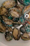 江船長(zhǎng) 冷凍鮑魚(yú) 凈重160g(18-22粒)袋裝 火鍋燒烤食材 海鮮生鮮 曬單實(shí)拍圖