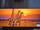 聯(lián)合創(chuàng)新40英寸帶魚屏 準(zhǔn)4K顯示器 144Hz Type-C90W反向充電 智慧雙屏 剪輯設(shè)計游戲辦公電腦顯示屏40C1R 曬單實拍圖