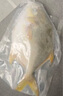 環(huán)球水產(chǎn)冷凍南海金鯧魚2斤/2條 生鮮魚類 火鍋 深海魚 海鮮水產(chǎn) 家庭聚餐 曬單實拍圖