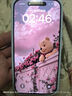 億色【2片裝無黑邊】適用iphone16promax鋼化膜防窺蘋果16pro/16pm手機膜高清鏡頭膜防摔抗指紋秒貼膜 【蘋果16Pro】無黑邊防窺膜丨秒貼2片裝 【收藏+加購】貼壞包賠丨不防窺免費退 曬單實拍圖