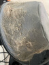 億力吸塵器車載家用手持桶式22000pa超強大吸力 工業(yè)開荒地毯床上強力吸貓毛小型除塵器10L 國家補貼 曬單實拍圖