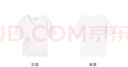 對白【涼感抑菌】氣質(zhì)V領(lǐng)短袖白色t恤女夏2024新款顯瘦內(nèi)搭小上衣 月光白 【預(yù)售付款后15天發(fā)貨】 L 曬單實拍圖