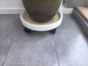 綠盼 綠盼圓形花盆移動(dòng)花托盤底座帶萬(wàn)向輪轱轆接水36#內(nèi)徑33cm 曬單實(shí)拍圖