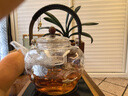 鑫璟仁公道杯玻璃茶漏一體套裝耐高溫加厚分茶器側(cè)把金箔公杯鑲銀倒茶器 荷葉錦鯉+茶漏 曬單實(shí)拍圖