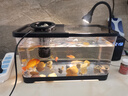 闊庭（KUOTING）魚缸水族箱生態(tài)桌面魚缸新款懶人魚缸生態(tài)造景過(guò)濾制氧一體機(jī)黑色 曬單實(shí)拍圖