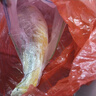 鴻順【冰鮮】黃花魚4條4斤 生鮮魚類 寧德大黃魚 地標產品 源頭直發(fā) 曬單實拍圖