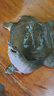 無(wú)上佳品釣甲魚(yú)神器釣老鱉王八甲魚(yú)鉤套裝釣具水魚(yú)黑魚(yú)鉤地插線組成品歪 8米12套【中號(hào)彎鉤】精美盒裝 其他 曬單實(shí)拍圖