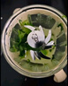 BLACK BABY輔食機(jī)嬰兒打泥機(jī) 多功能研磨攪拌一體寶寶輔食工具 12葉單杯單刀 曬單實(shí)拍圖
