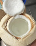 愛鮮摘農(nóng)場 金獎·泰國進口椰青【JD直發(fā)】椰皇水果去皮青椰香水奶椰子端午 9個裝 奶香椰皇 單果400g+ 曬單實拍圖