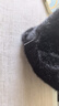 高顏值公仔娃娃可愛呆呆毛絨emo玩偶小熊禮物女生玩具小貓掛件 LC-【藍色眼睛】黑色小喵 坐姿 約15cm[現(xiàn)貨速發(fā)] 曬單實拍圖