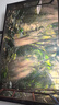 華為Vision智慧屏 5 SE 65英寸 鴻蒙AI搜片 MiniLED鴻鵠畫質(zhì)國(guó)家補(bǔ)貼Pura 80投屏平板電視機(jī)HD65KULU 曬單實(shí)拍圖