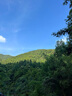 SPUOER蘇泊榨汁杯果蔬榨汁機便攜小型榨汁桶噸噸杯多功能旅游出差水果蔬菜料理機果汁機冰沙奶昔攪拌 1300ML茉莉綠一杯雙蓋【可碎冰】 曬單實拍圖