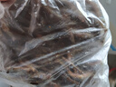 良時海 小銀魚 凈重250g  源頭直發(fā) 大連海產(chǎn)干貨 炒菜銀針魚 包郵 曬單實拍圖