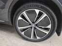 米其林（MICHELIN）汽車輪胎 265/45R21 108W 競馳 PILOT SPORT 4 SUV ACOUSTIC FRV 曬單實拍圖