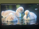 AOC 愛(ài)攻27英寸4K 240Hz雙模FHD 480Hz原裝模組 DP2.1 HDR400 1ms 硬件低藍光 游戲電競顯示器AG276UZ 曬單實(shí)拍圖