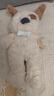 名創(chuàng)優(yōu)品（MINISO）吉梨尼尼乖乖坐姿公仔毛絨玩具玩偶娃娃抱枕小狗娃娃生日禮物女 曬單實拍圖