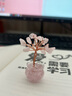 菩境水晶樹擺件聚寶盆黃水晶發(fā)財(cái)樹水晶碎石diy水晶盆栽車載擺件 曬單實(shí)拍圖
