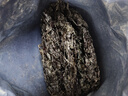 京東京造頭茬紫菜120g 海帶蝦皮紫菜蛋花湯 可炒至海苔 曬單實(shí)拍圖