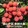 山姆大叔黑葉荔枝【順豐-多地次日達(dá)】新鮮凍眠荔枝非現(xiàn)摘水果中秋節(jié)禮盒7A巨無霸【狠甜】單果18g+凈3斤裝【較劃算-單人爽吃】 曬單實(shí)拍圖