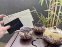 傳承令陳德生金銀錯(cuò)紫砂西施壺一壺兩杯功夫茶具套裝高端泡茶壺送禮長輩 敦煌金銀錯(cuò)紫砂一壺兩杯 曬單實(shí)拍圖
