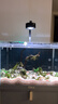 魚(yú)出色全光譜魚(yú)缸燈防水草缸吊燈水族箱植物生長(cháng)尼特爆藻利鋁合金筒燈 增艷智能調光版黑色50W+支架 曬單實(shí)拍圖