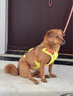 拉夫威爾弗格蘭狗狗胸背帶牽引繩小型犬ruffwear柴犬寵物狗背心胸背帶 苔蘚綠 XS 曬單實(shí)拍圖
