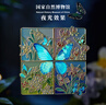 國家自然博物館蝴蝶拼裝夜光冰箱貼高顏值北京文創(chuàng)伴手禮旅游紀(jì)念品禮物七夕 【現(xiàn)貨】蝴蝶夜光款（先光照再夜光） 曬單實(shí)拍圖