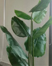 未歐天堂鳥假綠植仿真植物落地盆栽室內(nèi)大型仿生樹裝飾仿真花客廳擺件 1.6米天堂鳥+圓盆2選1 曬單實(shí)拍圖
