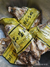 百味殿【活鮮】生蠔 乳山牡蠣 新鮮海蠣子生鮮貝類 【一口爆鮮】6XL帶箱10斤 曬單實拍圖