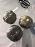 精品貝貝南瓜板栗味香甜軟糯嬰兒輔食早餐寶寶輕食貝貝南瓜蔬菜 貝貝南瓜單果200g以上 2斤 凈重 曬單實(shí)拍圖