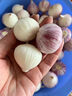 云南紫皮獨頭蒜2025新鮮干蒜獨蒜頭調味農家自種生鮮蔬菜 1斤 獨頭蒜 獨頭蒜中果【2.5-3cm】 曬單實(shí)拍圖