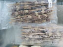 鮮京采內(nèi)蒙古孜然羊肉串凈重2斤 （50串）露營戶外燒烤 京東自有品牌 曬單實拍圖