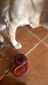 多尼斯（DOGNESS）狗狗牽引繩遛狗繩狗鏈子中大型犬自動(dòng)伸縮邊牧柴犬金毛 紅黑5米 曬單實(shí)拍圖