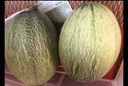 京鮮生 西州蜜哈密瓜 1粒裝 凈重3.5-4.5斤 源頭直發(fā) 包郵  曬單實(shí)拍圖