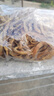新貨野生銀魚干面條魚丁香魚鳳尾魚干小魚干小咸魚干貨100g-1000g 500克（大多數(shù)人的選擇） 曬單實(shí)拍圖