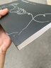 現(xiàn)貨包郵ch 【共生效應(yīng)】國(guó)擬實(shí)體書(shū)同人本  購(gòu)買贈(zèng)卡片 長(zhǎng)風(fēng)蒼G 曬單實(shí)拍圖