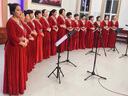 大合唱團(tuán)演出服女2025年新款禮服中老年朗誦氣質(zhì)獨(dú)唱指揮服裝長(zhǎng)裙 紅色 【成人長(zhǎng)款裙子】 XL 曬單實(shí)拍圖