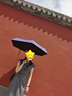 德瑪納【雙色交織紋理】夏季靜奢優(yōu)雅風圓領飛飛袖收腰中長款女式連衣裙 曬單實拍圖