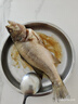 品鮮肴淡水魚淡水小河鱸魚無小刺鮮活魚現(xiàn)殺冷凍魚類水產(chǎn)去鰓去鱗去內(nèi)臟 三去凈重250-300g/條 共6條裝 曬單實拍圖