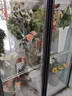 揚子全屏展示柜網(wǎng)紅款鮮花冷藏保鮮柜大容量風(fēng)冷無(wú)霜 雙門(mén)星河黑1000*600*1830mm 【輕奢款】【鍍膜防霧門(mén)+免排水】 曬單實(shí)拍圖