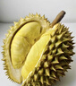 歐因泰國金枕頭榴蓮 新鮮現貨整箱帶殼進(jìn)口巴掌榴蓮一整個(gè)A果 金枕榴蓮凈重7-8斤【包4-8房1-2個(gè)果】 曬單實(shí)拍圖