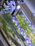 森森（SUNSUN）耀藍(lán)魚(yú)缸壁掛式過(guò)濾器外置小型過(guò)濾桶凈水過(guò)濾循環(huán)系統(tǒng)YBG-300 曬單實(shí)拍圖