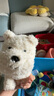 babycare電動(dòng)毛絨玩具德文貓咪公仔會(huì )說(shuō)話(huà)鴨子復讀鴨兒童周歲七夕禮物玩偶 【店長(cháng)推薦】西高地 電動(dòng)毛絨玩偶 曬單實(shí)拍圖