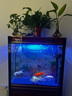 森森（SUNSUN）魚缸燈變色LED燈潛水照明水族箱造景燈龍魚防水燈管 60cm雙排燈藍白色9W（帶獨立開關(guān)） 曬單實拍圖