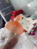 taoqibaby嬰兒輔食盒玻璃寶寶輔食保鮮工具可蒸煮蛋碗儲(chǔ)存工具兒童輔食碗 曬單實(shí)拍圖